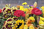 Click to see Y_1010712.JPG