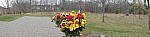 Click to see Y_1010716-Panorama.JPG