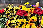 Click to see Y_1010729-ImpressiveArt.JPG
