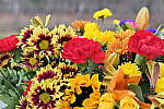 Click to see Y_1010730-HighDynamic.JPG