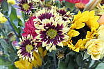 Click to see Y_1010741-NON-STACK.JPG
