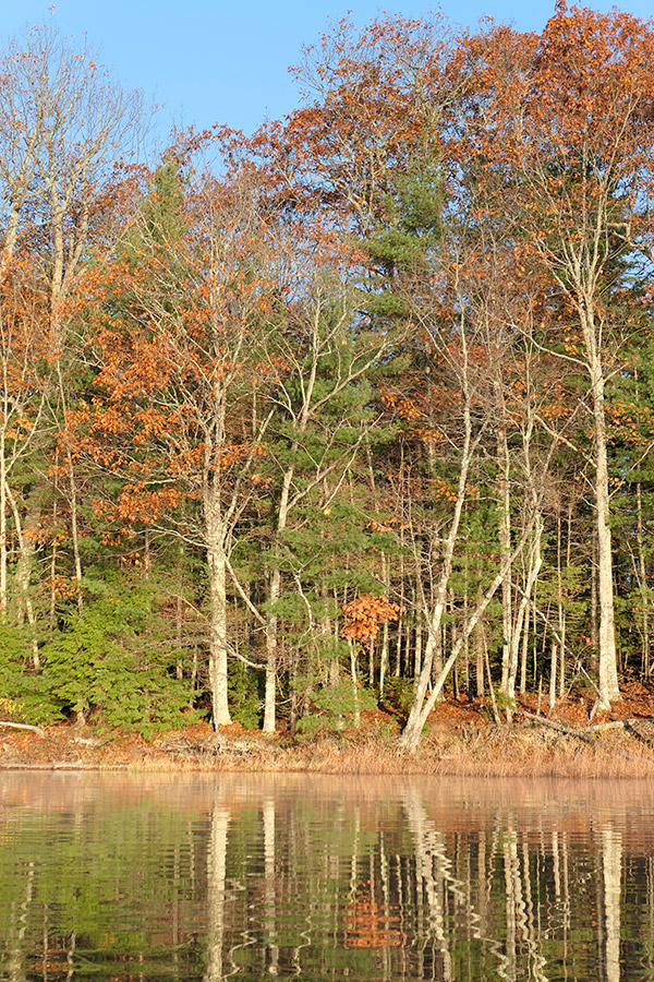 Panasonic LX10 Review: Field Test -- Gallery Image