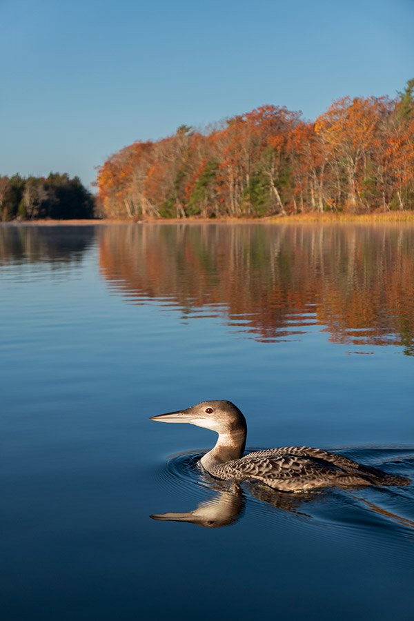 Panasonic LX10 Review: Field Test -- Gallery Image