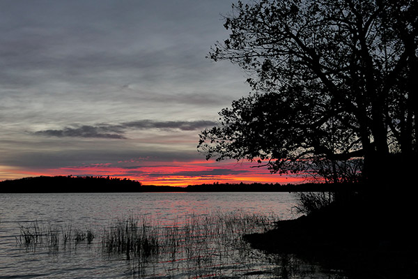 Panasonic LX10 Review: Field Test -- Gallery Image
