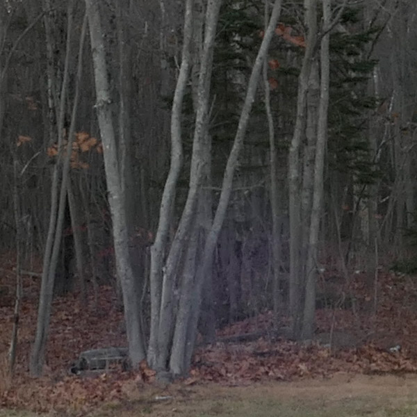 Panasonic LX10 Review: Field Test -- Gallery Image