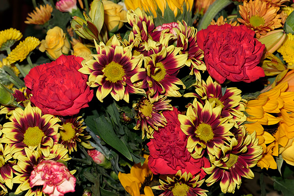 Panasonic LX10 Review: Field Test -- Gallery Image