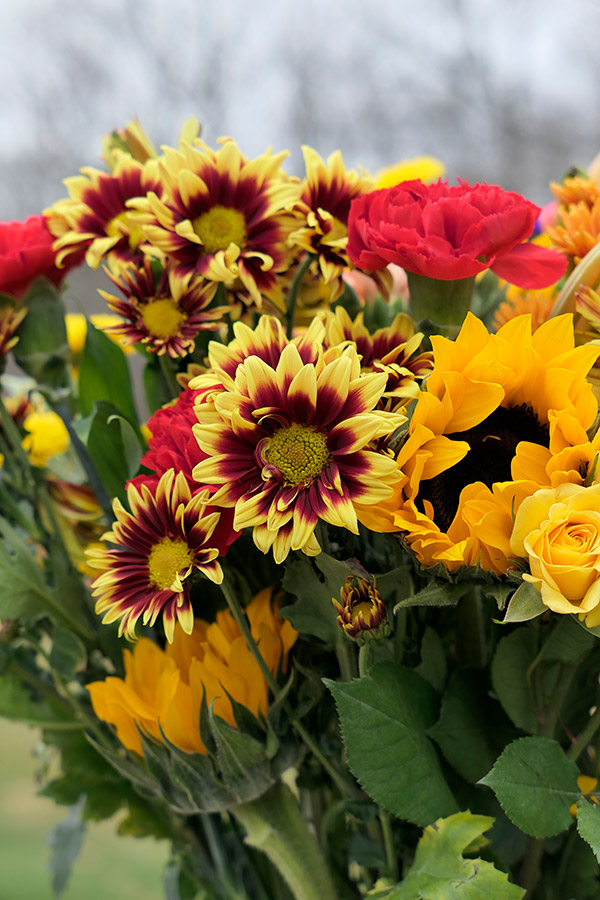 Panasonic LX10 Review: Field Test -- Gallery Image