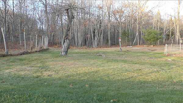 Panasonic LX10 Review: Field Test -- Full HD video frame