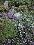 Click to see Y-JG-LX100-II-2305.JPG