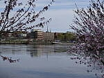 Click to see Y-JG-LX100-II-2320.JPG