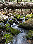 Click to see Y-JG-LX100-II-2674-MOD.JPG