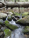 Click to see Y-JG-LX100-II-2674.JPG