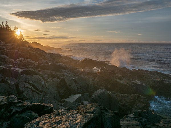 Panasonic LX100 II Review: Field Test -- Gallery Image
