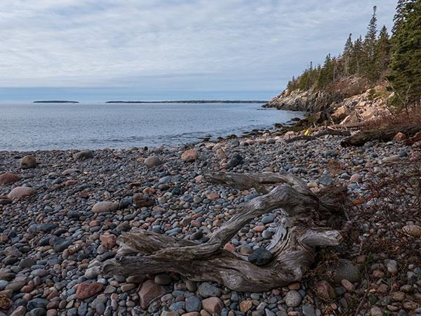 Panasonic LX100 II Review: Field Test -- Gallery Image