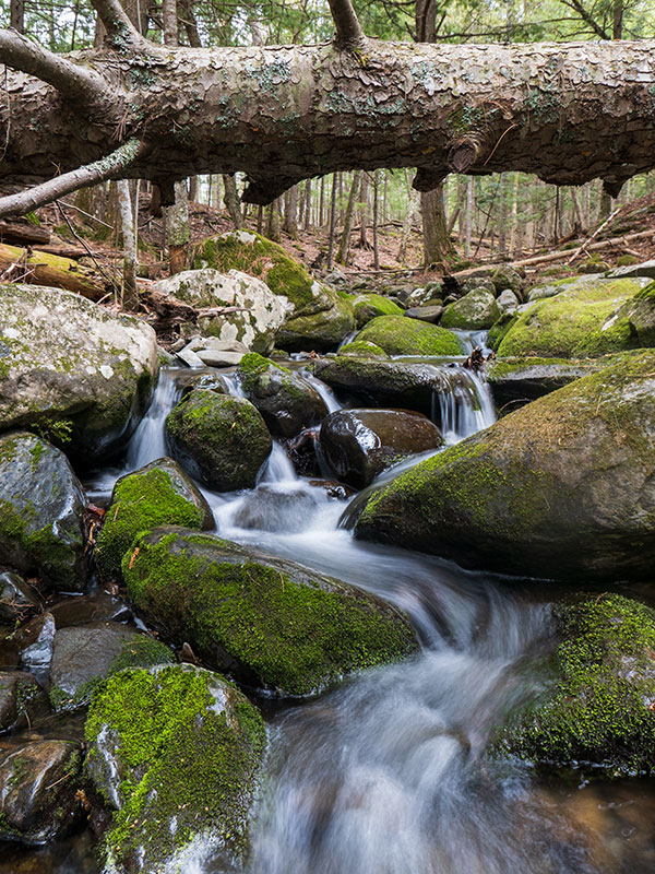 Panasonic LX100 II Review: Field Test -- Gallery Image