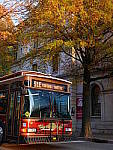 Click to see YP1150330.JPG