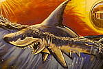 Click to see YP1150517.JPG