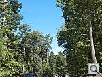 Click to see LX7PINE_SPu300r06.JPG