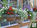 Click to see YP1010082.JPG