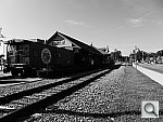 Click to see YP1010106.JPG