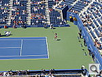Click to see YP1010226.JPG