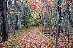 Click to see Y-JG-PAN-S1-SIGMA-18-50-0156.JPG