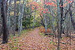 Click to see Y-JG-PAN-S1-SIGMA-18-50-0157.JPG