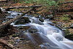 Click to see Y-JG-PAN-S1-SIGMA-18-50-0160.JPG