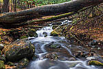 Click to see Y-JG-PAN-S1-SIGMA-18-50-0169-MOD.JPG