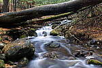 Click to see Y-JG-PAN-S1-SIGMA-18-50-0169.JPG