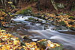 Click to see Y-JG-PAN-S1-SIGMA-18-50-0174.JPG