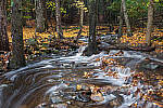 Click to see Y-JG-PAN-S1-SIGMA-18-50-0178-MOD.JPG