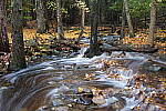 Click to see Y-JG-PAN-S1-SIGMA-18-50-0178.JPG