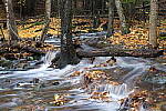 Click to see Y-JG-PAN-S1-SIGMA-18-50-0180.JPG