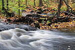 Click to see Y-JG-PAN-S1-SIGMA-18-50-0193.JPG
