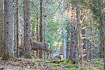 Click to see Y-JG-S1-70-200-9406-MOD.JPG