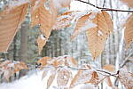 Click to see Y-JG-S1-SIGMA-24MM-0021.JPG
