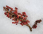 Click to see Y-JG-S1-SIGMA-24MM-0077-MOD.JPG