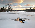 Click to see Y-JG-S1-SIGMA-24MM-0101-MOD.JPG