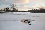 Click to see Y-JG-S1-SIGMA-24MM-0101.JPG