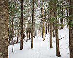 Click to see Y-JG-S1-SIGMA-24MM-9979-MOD.JPG