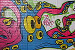 Click to see Y-S1-BETA-JG-0995.JPG