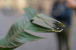 Click to see YX-BETA-P1001225.JPG