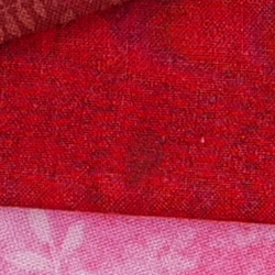 100% crop from Panasonic S1 test image taken at ISO 100