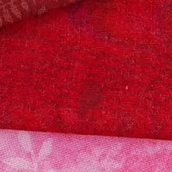 100% crop from Panasonic S1 test image taken at ISO 1600