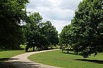 Click to see Y-50MMBETA-P1005799.JPG