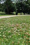Click to see Y-50MMBETA-P1005804.JPG