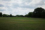Click to see Y-50MMBETA-P1005807.JPG