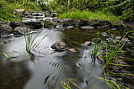 Click to see Y-JG-PAN-S1R-18MM-6789-MOD.JPG