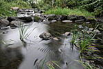 Click to see Y-JG-PAN-S1R-18MM-6789.JPG